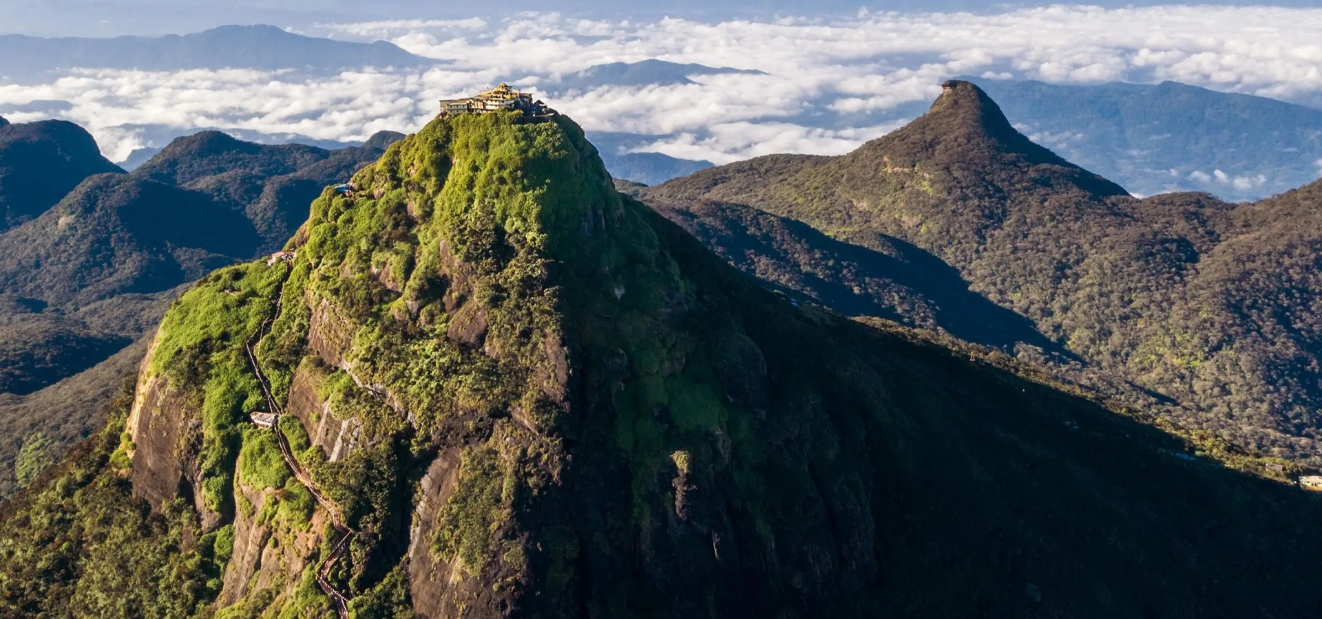 Picture of the Adam's pike