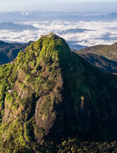 Picture of the Adam's pike