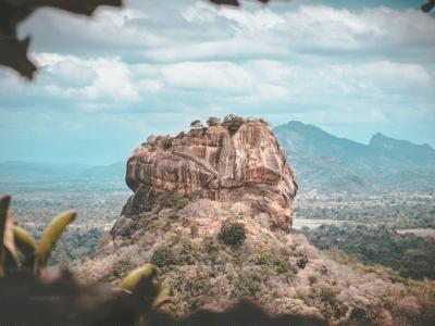 premium_photo-1666254114402-cd16bc302aea-cover