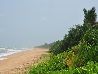 1626px-Sri_Lanka,_Bentota,_beach