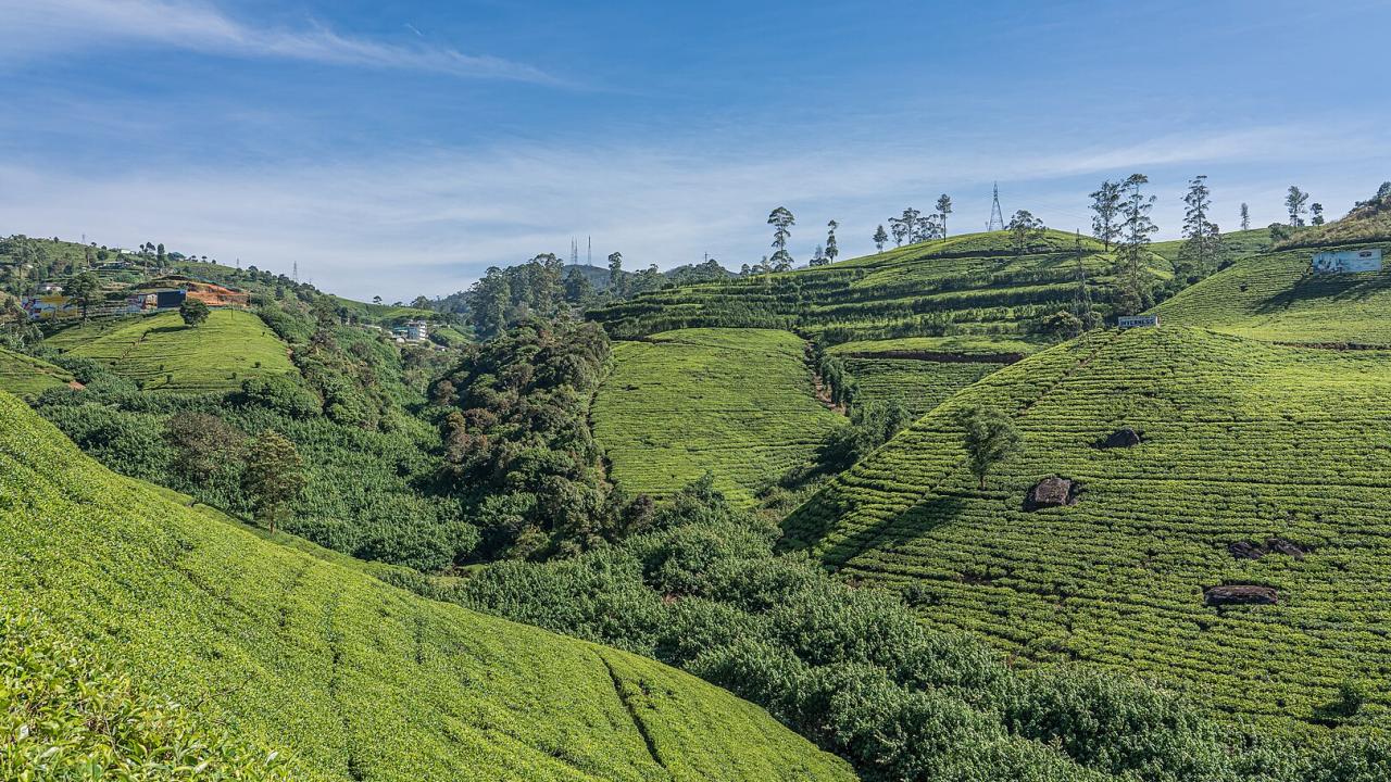 Photo de présentation circuit