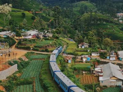 photo-1578517929167-db9ed31cd5c6-cover