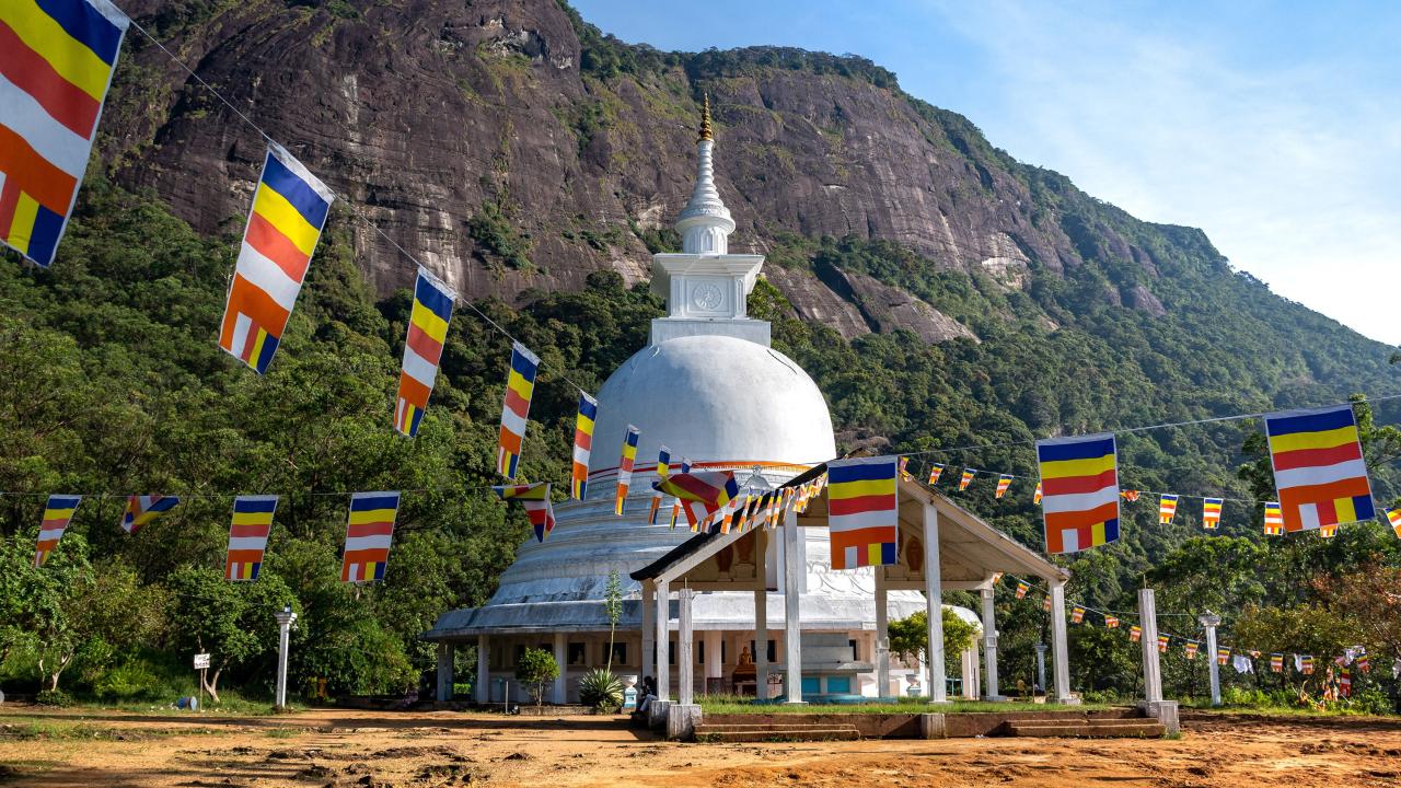 Photo de présentation circuit